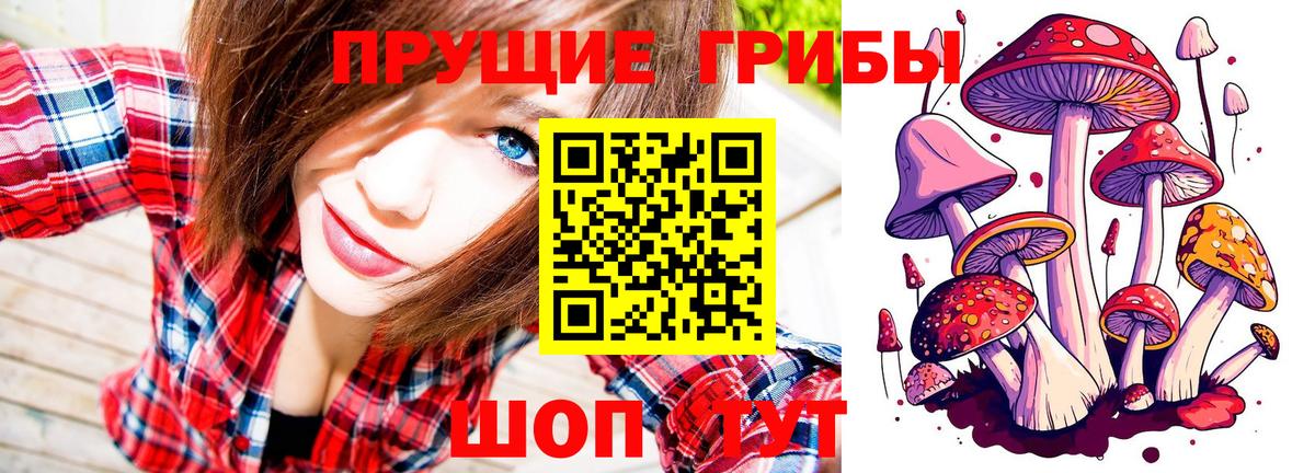 Галлюциногенные грибы Cubensis Валуйки