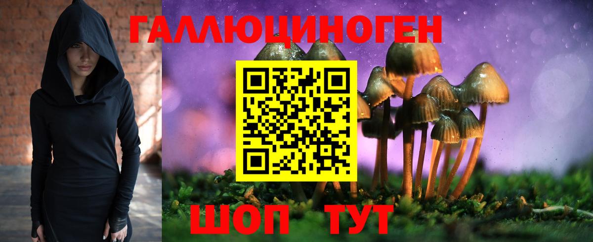Валуйки  Псилоцибиновые грибы мицелий  Вход с VPN  Псилоцибиновые грибы Cubensis 